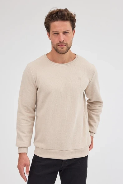Erkek Bej Standart Fit Normal Kesim Pamuklu Basic Bisiklet Yaka Sweatshirt ürün görseli 1