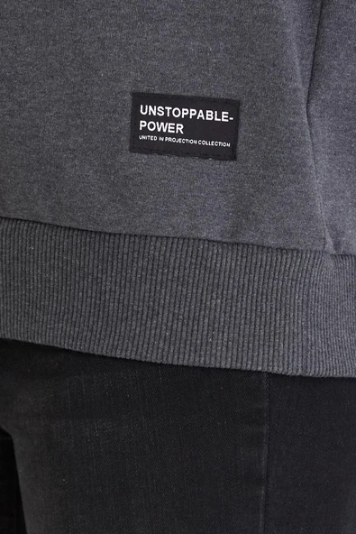 Kadın Antrasit Renk Basic Bisiklet Yaka Sweatshirt - Resim 3
