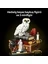 LEGO Harry Potter Felsefe Taşı  Koleksiyoncu Versiyonu 76466 Yetişkinler için Yaratıcı Model Yapım Seti ürün görseli 1