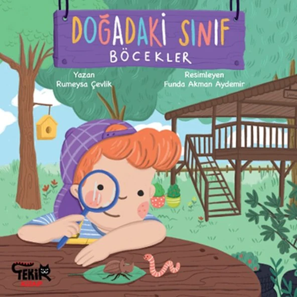 Doğadaki Sınıf- Böcekler ürün görseli 1