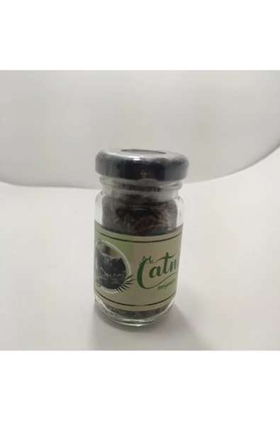 Catnip Doğal Otu - Nanesi - Resim 4