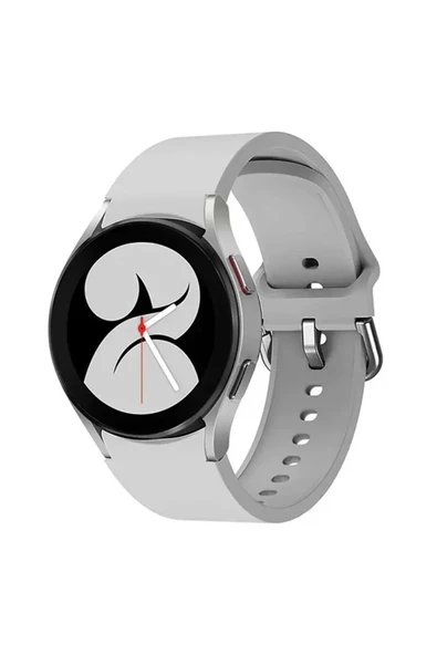 Galaxy Watch 4 Klasik Kordon - Gri ürün görseli 1