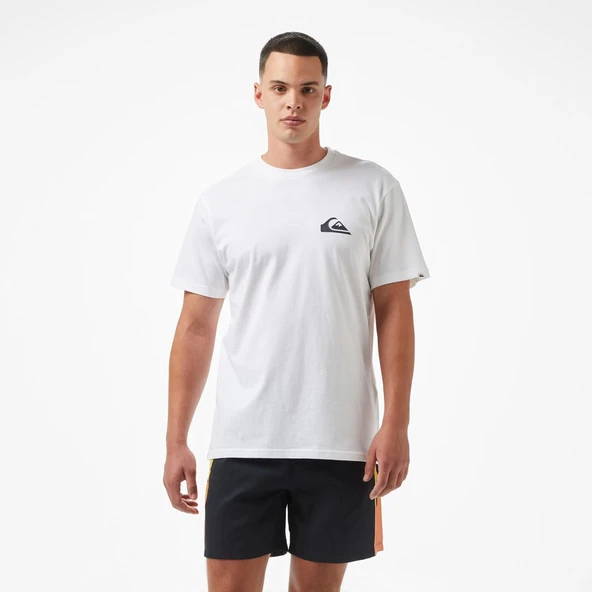 EV MINI LOGO SS  Erkek T-Shirt EQYZT08042-908 ürün görseli 1