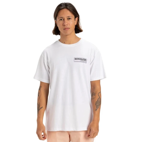 PALM SQUARE SS  Erkek T-Shirt EQYZT08095-908 ürün görseli 1