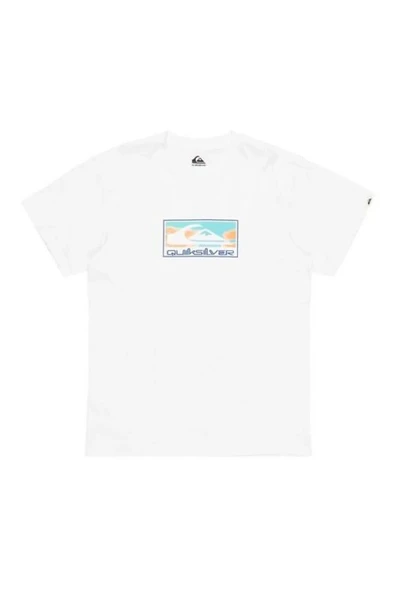 EV GRADIENT BOX SS  Erkek T-Shirt EQYZT08045-908 - Resim 6