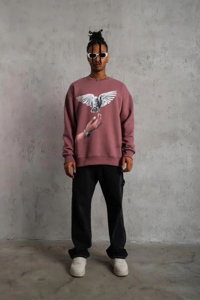 Erkek Güvercin Baskılı Bisiklet Yaka Sweatshirt 3 iplik pamuklu - Gül Kurusu ürün görseli 1