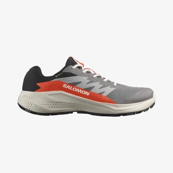 ALPHAGLIDE GORE-TEX  Erkek Koşu Ayakkabısı L47975300 ürün görseli 1