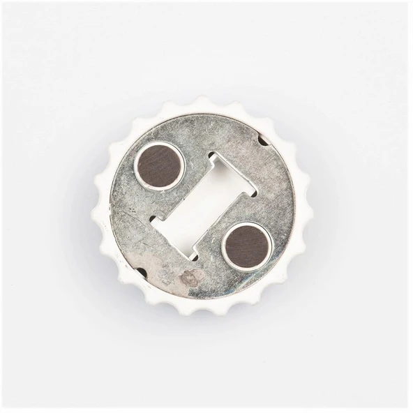 Gürcistan Temalı Magnet Kapak Açacak - Resim 2