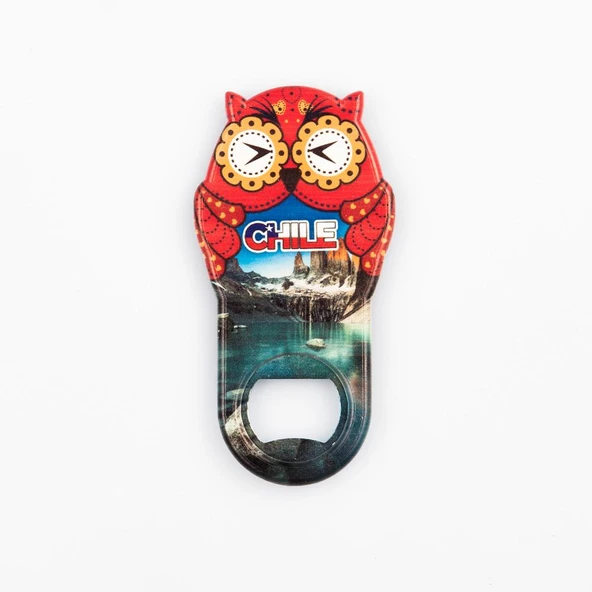 Şili Temalı Baykuş Magnet Kapak Açacak ürün görseli 1