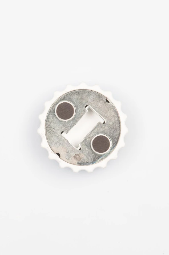 Gürcistan Temalı Magnet Kapak Açacak - Resim 4