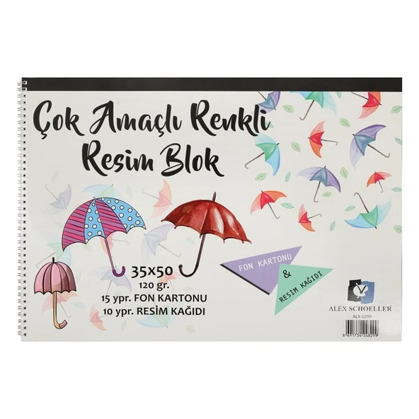 Alex Schoeller Resim Defteri Spiralli Çok Amaçlı 15 YP 35x50 120 GR ALX-0299 ürün görseli 1