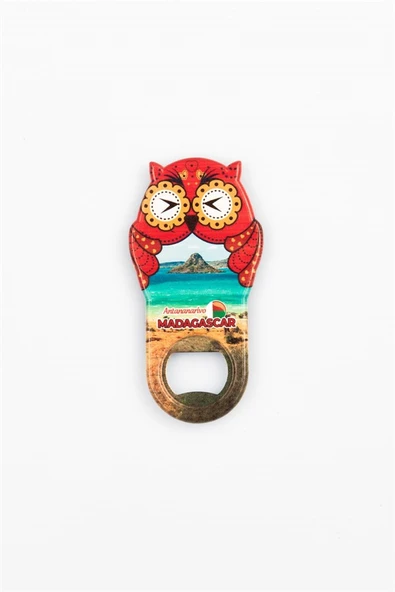 Madagaskar Temalı Baykuş Magnet Kapak Açacak - Resim 3