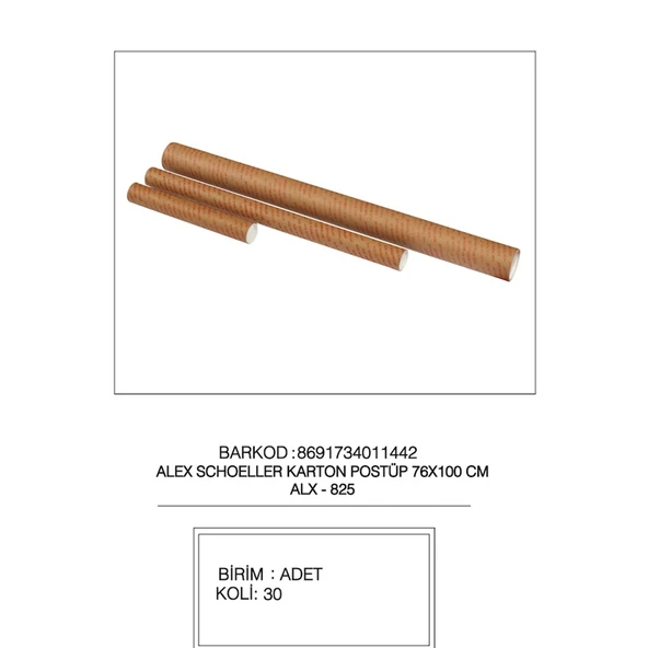 Alex Schoeller Proje Tüpü Karton 76x100 CM 825 ürün görseli 1