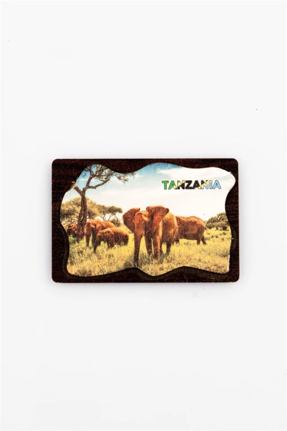 Tanzanya Temalı Deri Magnet Ahşap Tabaka - Resim 2