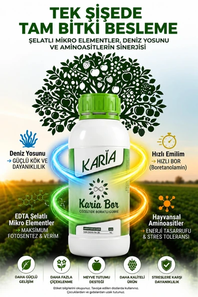 Karia Bor Çözeltide Boratlı Gübre 1 Lt ürün görseli 1