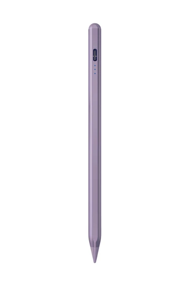 FSKL16 Premium iPad Uyumlu Tablet Kalemi Avuç İçi Reddetmeli Eğim Hassasiyetli Manyetik Stylus Kalem ürün görseli 1