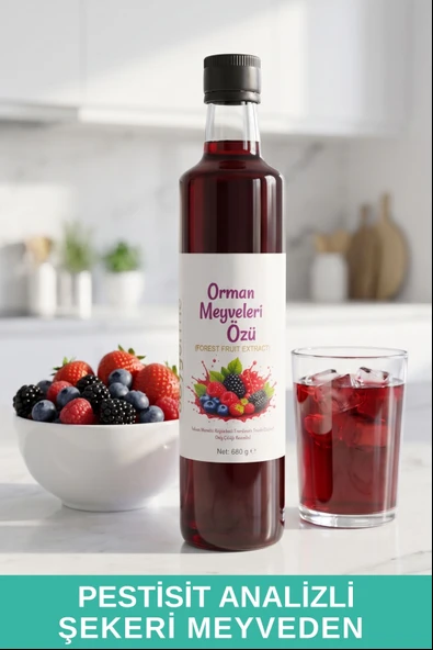 Orman Meyveleri Özü 680gr ürün görseli 1