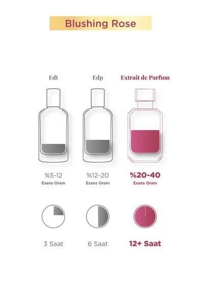 Aryene Blushing Rose Debut Kadın Parfüm 50 ml - Resim 4