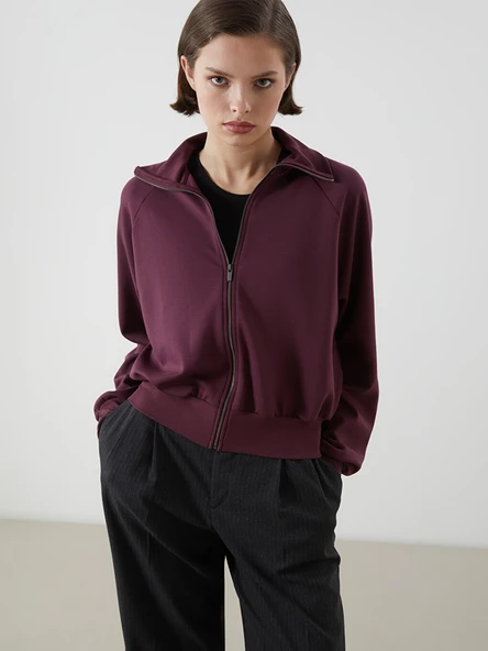 LCWAIKIKI Classic Mürdüm Dik Yaka Oversize Kadın Fermuarlı Sweatshirt ürün görseli 1