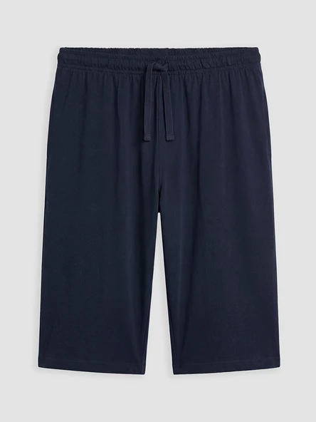 LC WAIKIKI Lacivert Regular Fit Erkek Şort - Resim 5