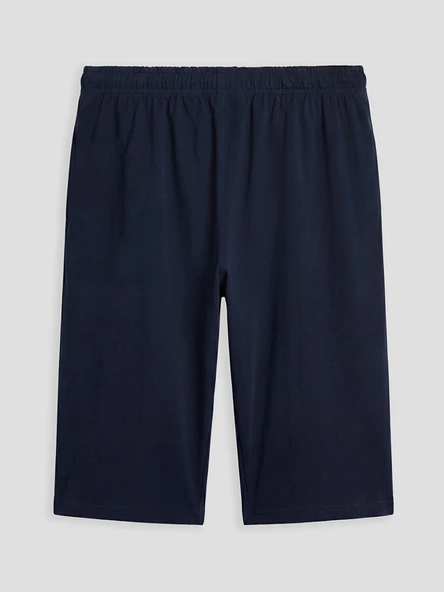 LC WAIKIKI Lacivert Regular Fit Erkek Şort - Resim 7