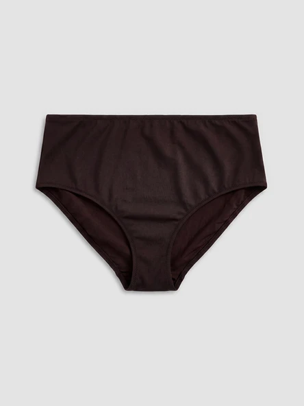 LCW DREAM Kahverengi Yüksek Bel Kadın Bikini Altı ürün görseli 1