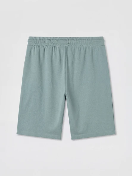 LC WAIKIKI Mavi Regular Fit Erkek Şort - Resim 2