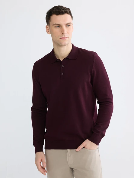 LCWAIKIKI Classic Bordo Polo Yaka Erkek Triko Kazak ürün görseli 1