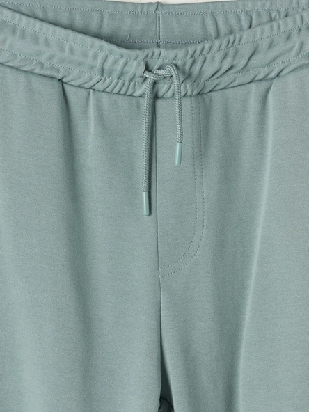 LC WAIKIKI Mavi Regular Fit Erkek Şort - Resim 3