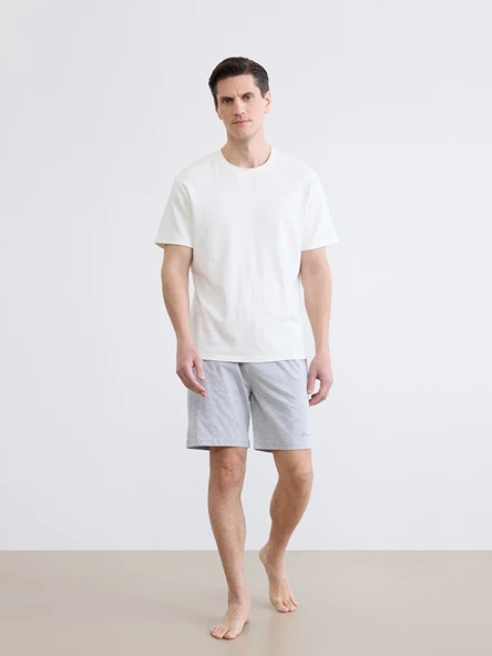 LC WAIKIKI Gri Slim Fit Erkek Şort ürün görseli 1