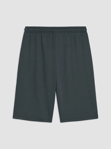 LC WAIKIKI Gri Regular Fit Erkek Şort - Resim 3