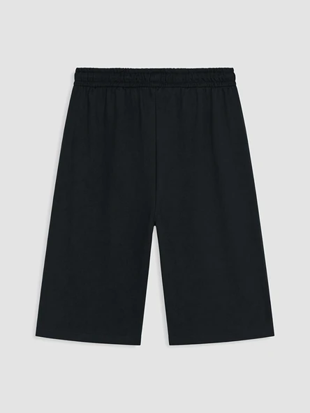 LC WAIKIKI Siyah Regular Fit Erkek Şort - Resim 3