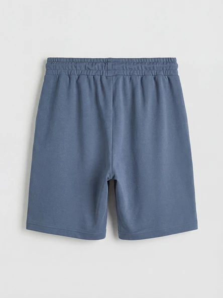 LC WAIKIKI İndigo Regular Fit Erkek Şort - Resim 6