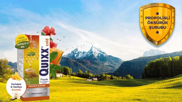 Quixx Cold Propolis Şurup 100 ml 6 Adet - Resim 3