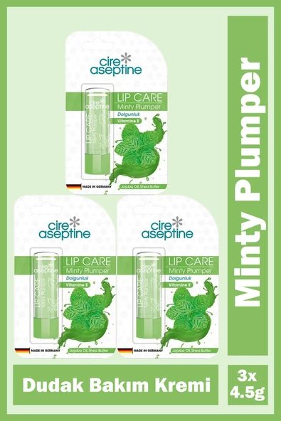 Cire Aseptine Mentol Dudak Bakım Kremi 4,5 gr 3 Adet ürün görseli 1