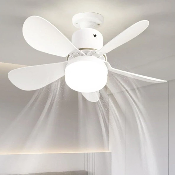 CATA Lodos Fan 62W LED Ampul Dimmerli CT-1154  E27  6500K Kumandalı ürün görseli 1