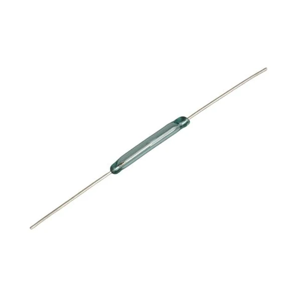 IC-228 Reed Switch 20Mm ürün görseli 1