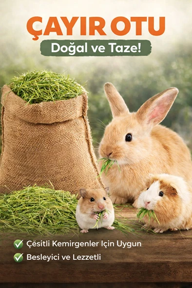 Doğal Çayır Otu Kemirgen Yemi Tavşan Hamster Ginepig Chinchilla Doğal Kurutulmuş Kemirgen Otu 300 Gr ürün görseli 1