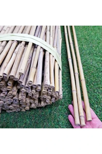 Bambu Bitki Destek Çubuğu 180 Cm, 5 Adet, Sağlam ve Dayanıklı Bahçe Malzemesi ürün görseli 1
