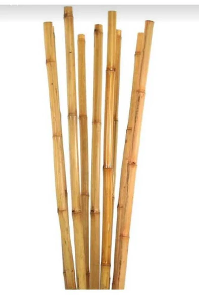 Bitki Destek Çubuğu 100cm (10 ÂDET) - Resim 3