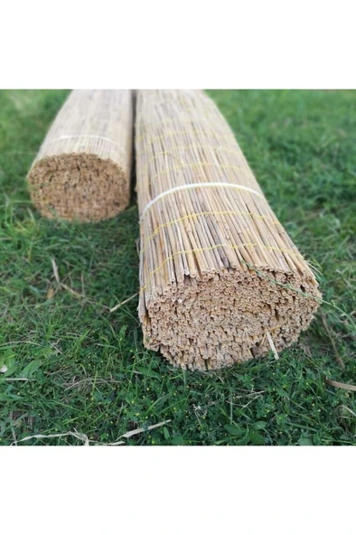 Kamış Hasır Kargı 2 X 5 - Resim 5