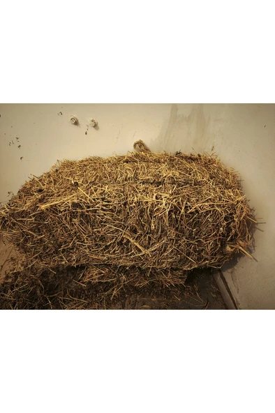 2kg Kuru Yonca Otu, Kemirgen Otu (CHİNCHİLLA, TAVŞAN, GİNEPİG, HAMSTER İÇİN) 2kg ürün görseli 1