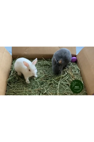 Kemirgenler Için Kuru Yonca Otu 750 Gr. ürün görseli 1