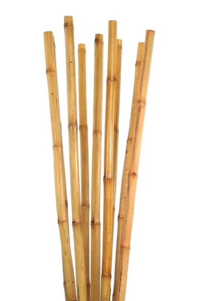 10 Adet Bambu Destek Çubuğu 100 Cm ürün görseli 1
