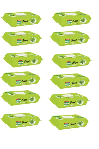 Extra Yüzey Temizlik Havlusu Doğal Aloe Vera Özü 100 Adet X 12 (12 Paket) ürün görseli 1