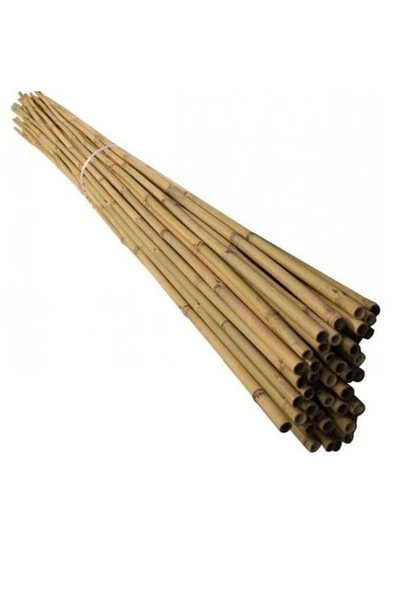 Bambu Bitki Destek Çubuğu 150 cm-10 adet ürün görseli 1