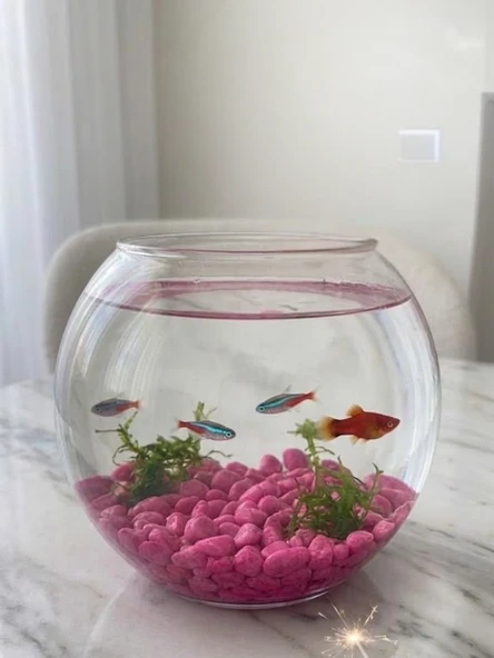Mucit Home Kırmızı Pembe Karışık Fanus Taşı Akvaryum Balık Taşı ürün görseli 1