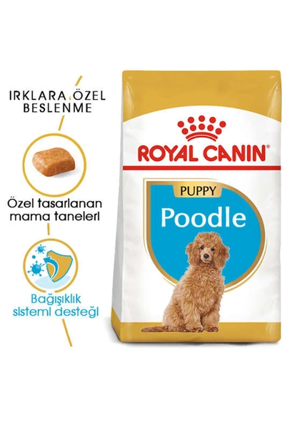 Royal Canin Köpek Maması Poodle 2 Kg+2 Pouch ürün görseli 1