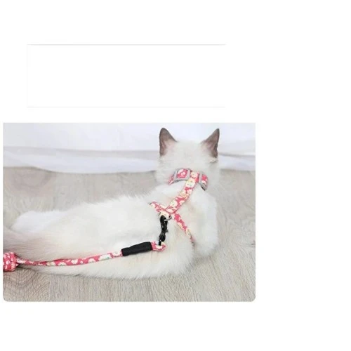 Kedi Gezdirme Göğüs Tasması - Resim 3