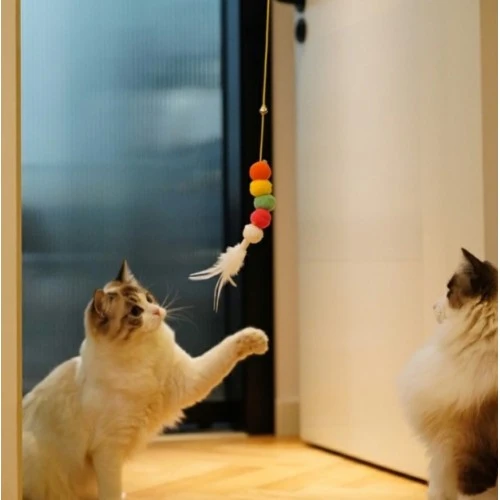 Elastik Yapışkanlı Kedi Oyun Oltası - Resim 4